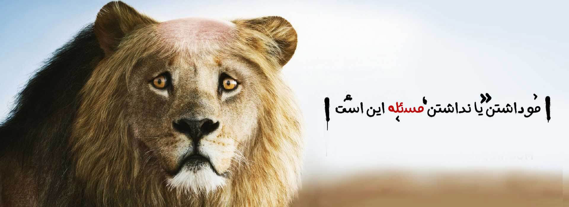 کلینیک پوست و مو آنیکا